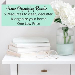 Home Organizing bundle