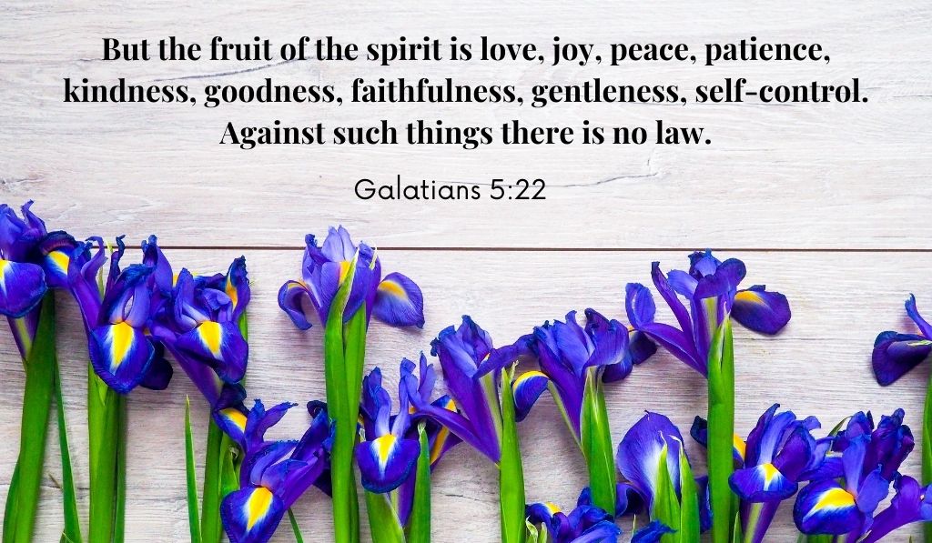 Galatians 5:22 Fruit of the Spirit