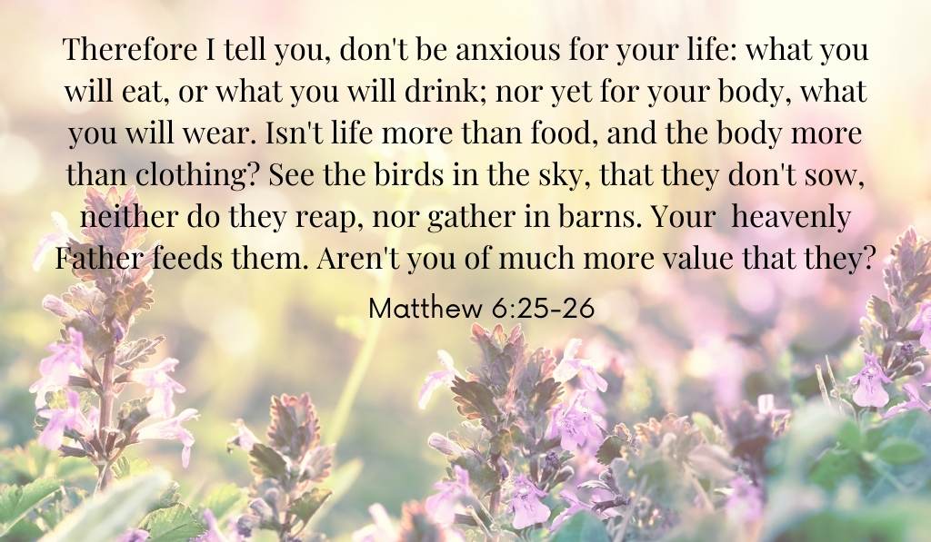 Matthew 6:25-26