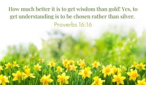 Proverbs 16:16 wisdom is more valuable than gold