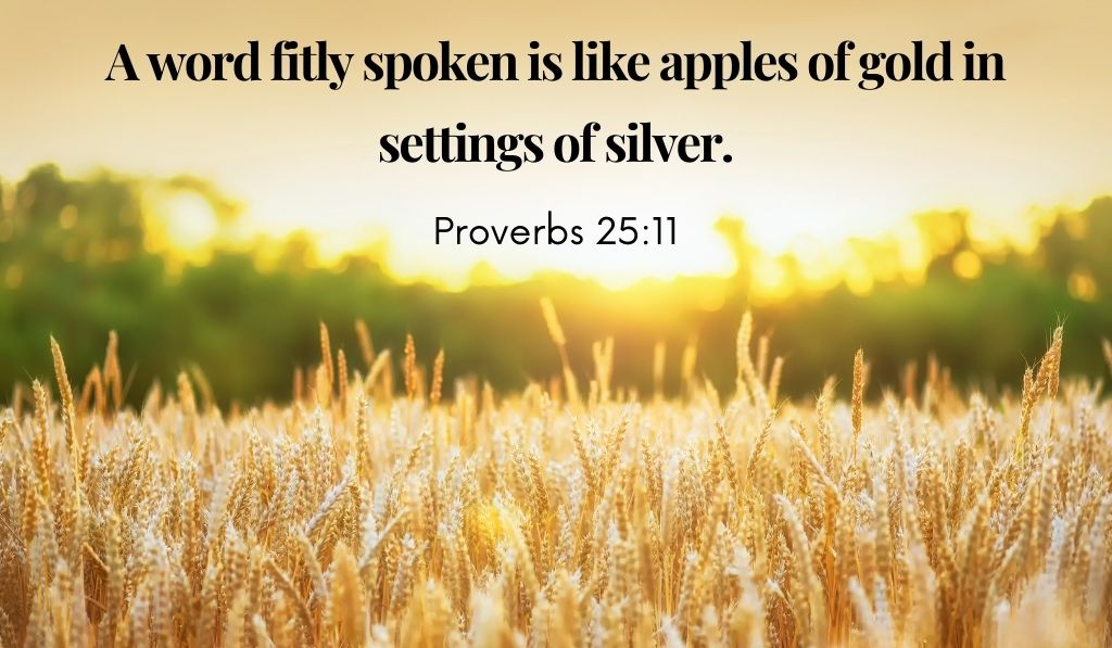Proverbs 25:11 Words spoken well