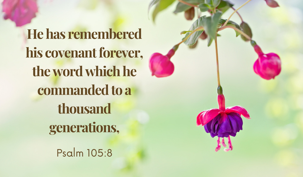 Psalm 105:8 God remembers you and loves you