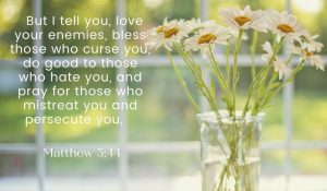 Matthew 5.44 Love your enemy
