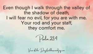 Psalm 23:4