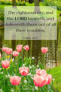 Psalm 34:17 God helps the righteous