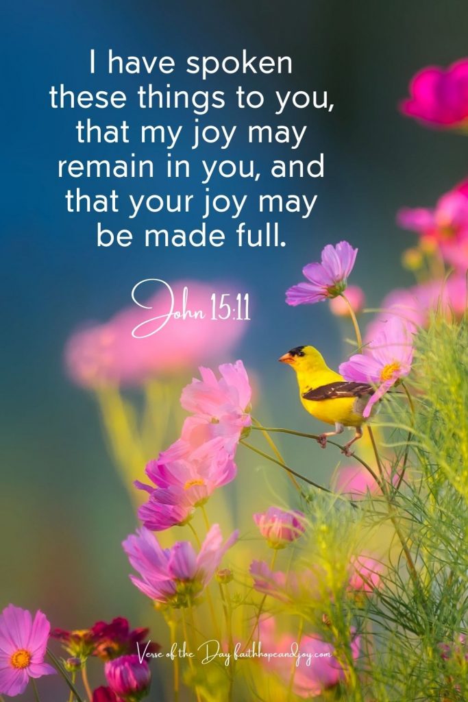 John 15:11 Joy of Jesus