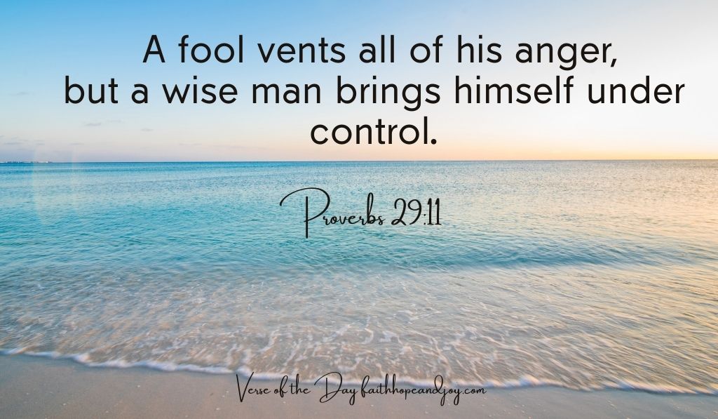 Proverbs 2911 Struggling for SelfControl Faith, Hope & Joy