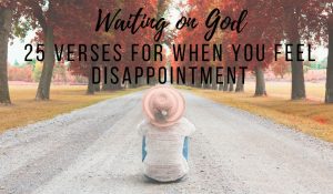 25 Verses on Disappointment