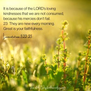 Lamentations 3:22-23 New mercies every morning