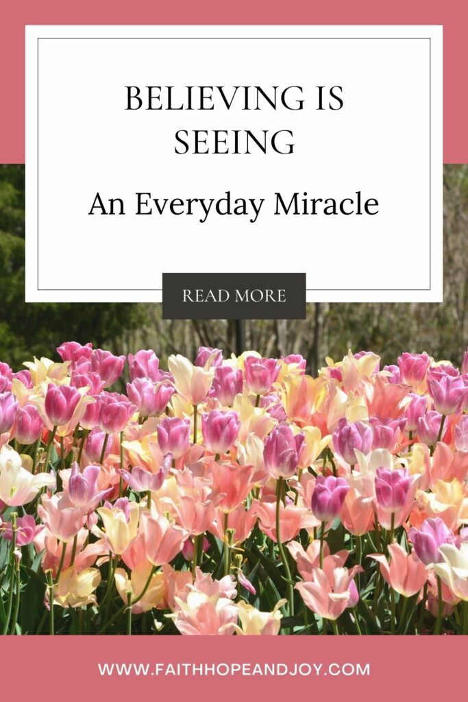 Believing is Seeing- an everyday miracle story that will inspire and encourage you.