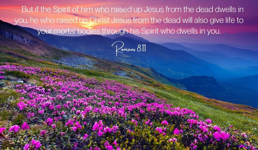 Romans 8:11